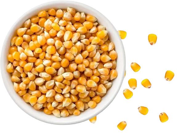 JS90 Foods 1Kg Raw Unpopped Popcorn Kernels – Natural, Non-GMO, Healthy Snack, MAKKI