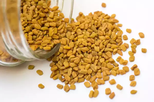JS90 FOODS 100gm Methre Big Size Fenugreek Seeds (Bade Dane, Methi Dana) – Ideal for Pickling, Cooking & Ayurvedic Uses , LARGE SIZE.