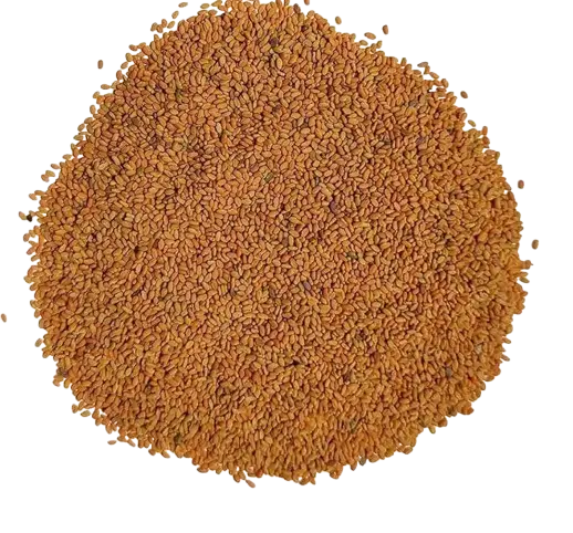 JS90 FOODS 1Kg Methi Dana Barik (Small Size Fenugreek Seeds) – Rich in Aroma & Flavor, Ideal for Cooking, Pickles & Herbal Uses , ITS NOT A METHRE.