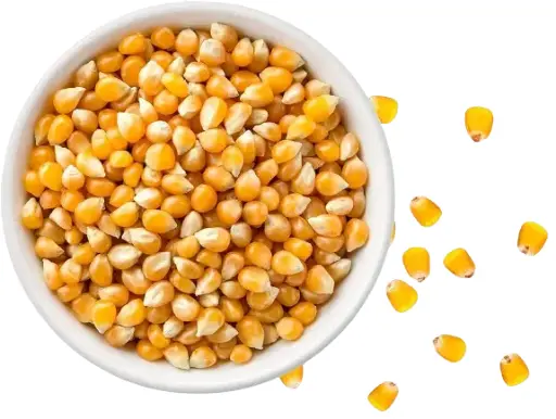 JS90 Foods 1Kg Raw Unpopped Popcorn Kernels – Natural, Non-GMO, Healthy Snack, MAKKI