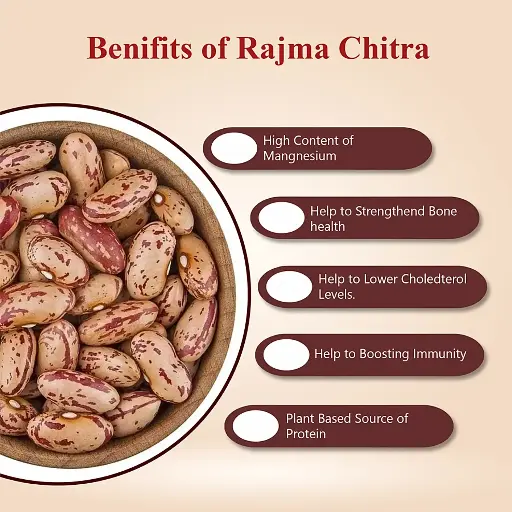 JS90 Foods 1Kg Rajma Chitra – Premium Quality, Soft & Delicious Kidney Beans, High in Protein & Fiber, Ideal for Rajma Curry & Healthy Meals