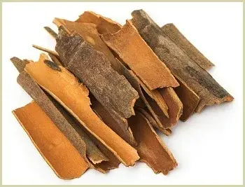 JS90 FOODS 500gm Dal Chini (Cinnamon Sticks, Whole Cassia) – Aromatic & Flavorful Spice for Cooking, Baking & Beverages