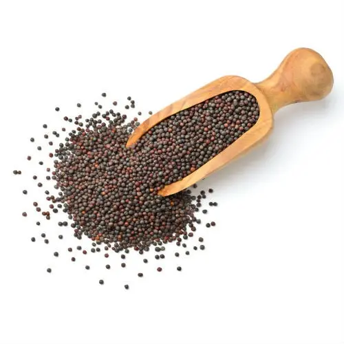500GM Sarso Rai Moti, Black Mustard Seeds, Kali Sarson – Bold & Pungent Seeds for Pickles, Tadka & Cooking